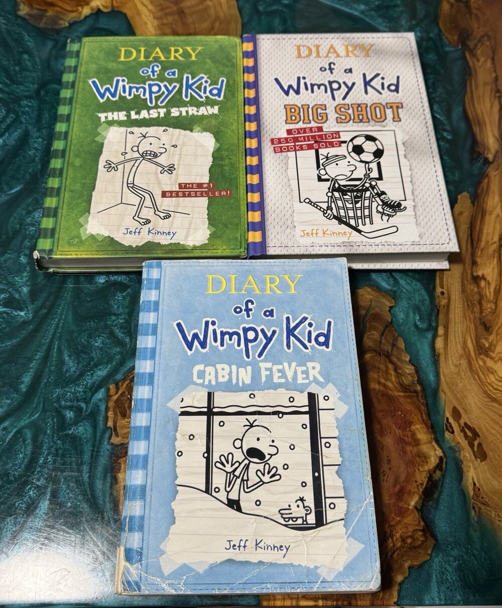Diary of a Wimpy Kid Lot of 3 Books Cabin Fever, Last Straw, Big Shot